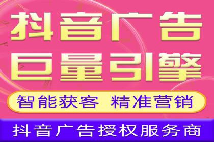 谷歌竞价广告的投放策略与成功案例分析